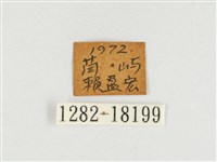 端紫幻蛺蝶藏品圖，第3張