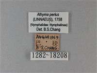 玄珠帶蛺蝶藏品圖，第3張