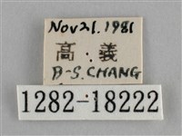 纖粉蝶藏品圖，第3張