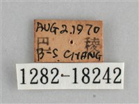琉璃蛺蝶藏品圖，第3張