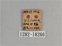 大紅蛺蝶藏品圖，第3張