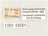 瑙蛺蝶藏品圖，第3張