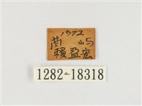 端紫幻蛺蝶藏品圖，第3張