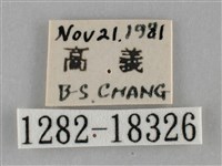 纖粉蝶藏品圖，第3張