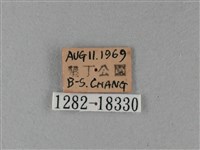 大白斑蝶藏品圖，第3張