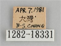 臺灣環蛺蝶藏品圖，第3張