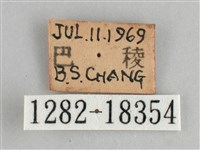 臺灣環蛺蝶藏品圖，第3張