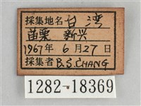 琉璃蛺蝶藏品圖，第3張