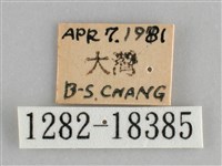 臺灣環蛺蝶藏品圖，第3張