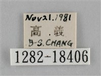 纖粉蝶藏品圖，第3張