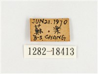 臺灣翠蛺蝶藏品圖，第3張