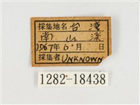 窄帶翠蛺蝶藏品圖，第3張