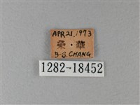 殘眉線蛺蝶藏品圖，第3張