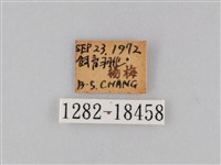 豆環蛺蝶藏品圖，第3張
