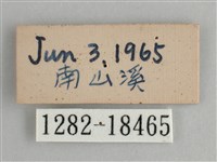 臺灣環蛺蝶藏品圖，第3張