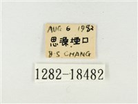 青雀斑灰蝶藏品圖，第3張