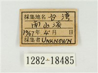 白點褐蜆蝶藏品圖，第3張