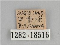 遷粉蝶、淡黃蝶藏品圖，第3張