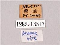 田中洒灰蝶藏品圖，第3張