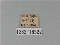 異粉蝶、雌白黃蝶藏品圖，第3張