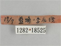 青眼蛺蝶、孔雀青蛺蝶藏品圖，第3張
