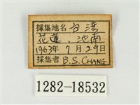 大娜波灰蝶藏品圖，第3張