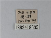 淡青雅波灰蝶藏品圖，第3張