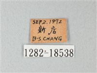 淡青雅波灰蝶藏品圖，第3張