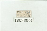 銀紋尾蜆蝶藏品圖，第3張