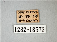 細邊琉灰蝶藏品圖，第3張