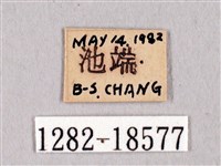 田中洒灰蝶藏品圖，第3張