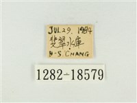 銀灰蝶藏品圖，第3張