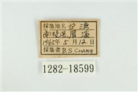 東方喙蝶藏品圖，第3張