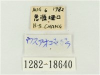 青雀斑灰蝶藏品圖，第3張