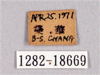 田中洒灰蝶藏品圖，第3張
