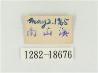 大娜波灰蝶藏品圖，第3張