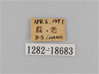 江崎波眼蝶藏品圖，第3張