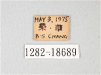 淡青雅波灰蝶藏品圖，第3張