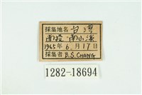 臺灣銀灰蝶藏品圖，第3張