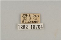 藍灰蝶沖繩亞種藏品圖，第3張