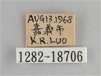 遷粉蝶、淡黃蝶藏品圖，第3張