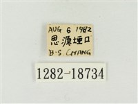 青雀斑灰蝶藏品圖，第3張