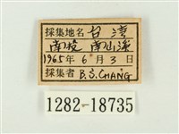 銀灰蝶藏品圖，第3張