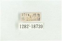 銀紋尾蜆蝶藏品圖，第3張