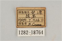 藍灰蝶沖繩亞種藏品圖，第3張
