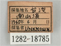 細波遷粉蝶藏品圖，第3張