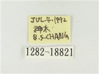 大紫琉灰蝶藏品圖，第3張