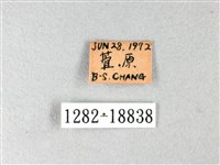 白弄蝶藏品圖，第3張