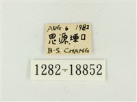 青雀斑灰蝶藏品圖，第3張