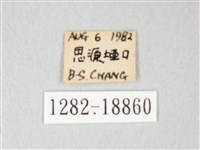 淡青雅波灰蝶藏品圖，第3張